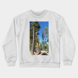 California Crewneck Sweatshirt